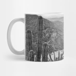 Andes Mountains Bolivia Mug